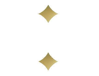 Timeless Aesthetics